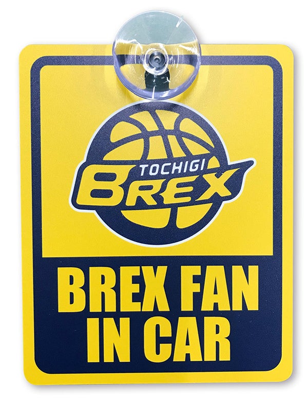 brexcar02.jpg