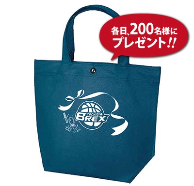 bag2017mini-1.jpg