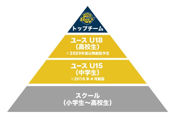育成ピラミッド