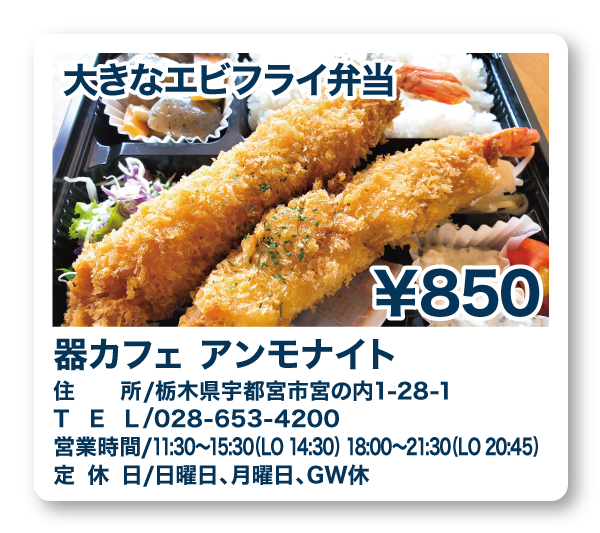 器カフェアンモナイト