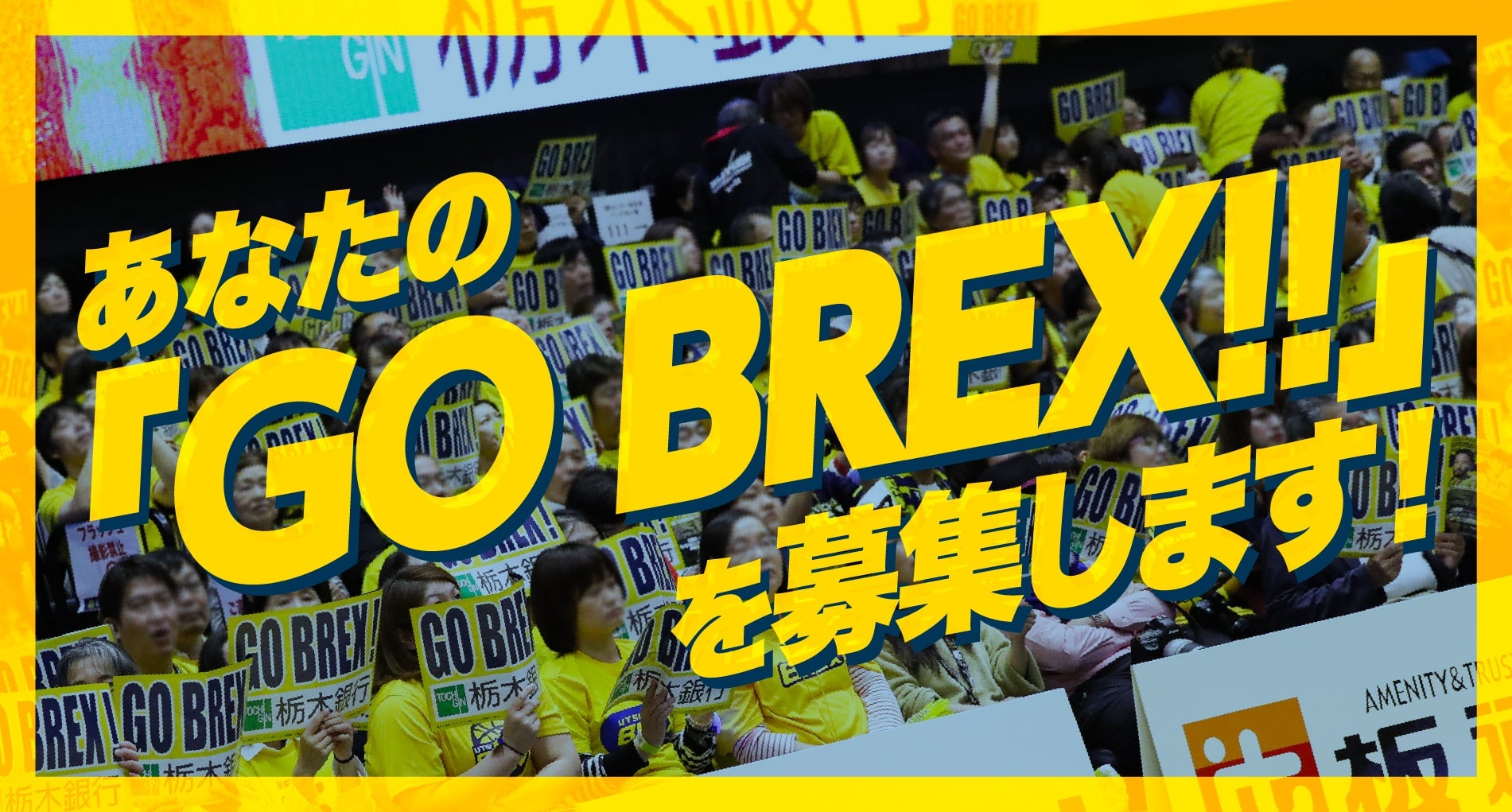 GO BREX募集