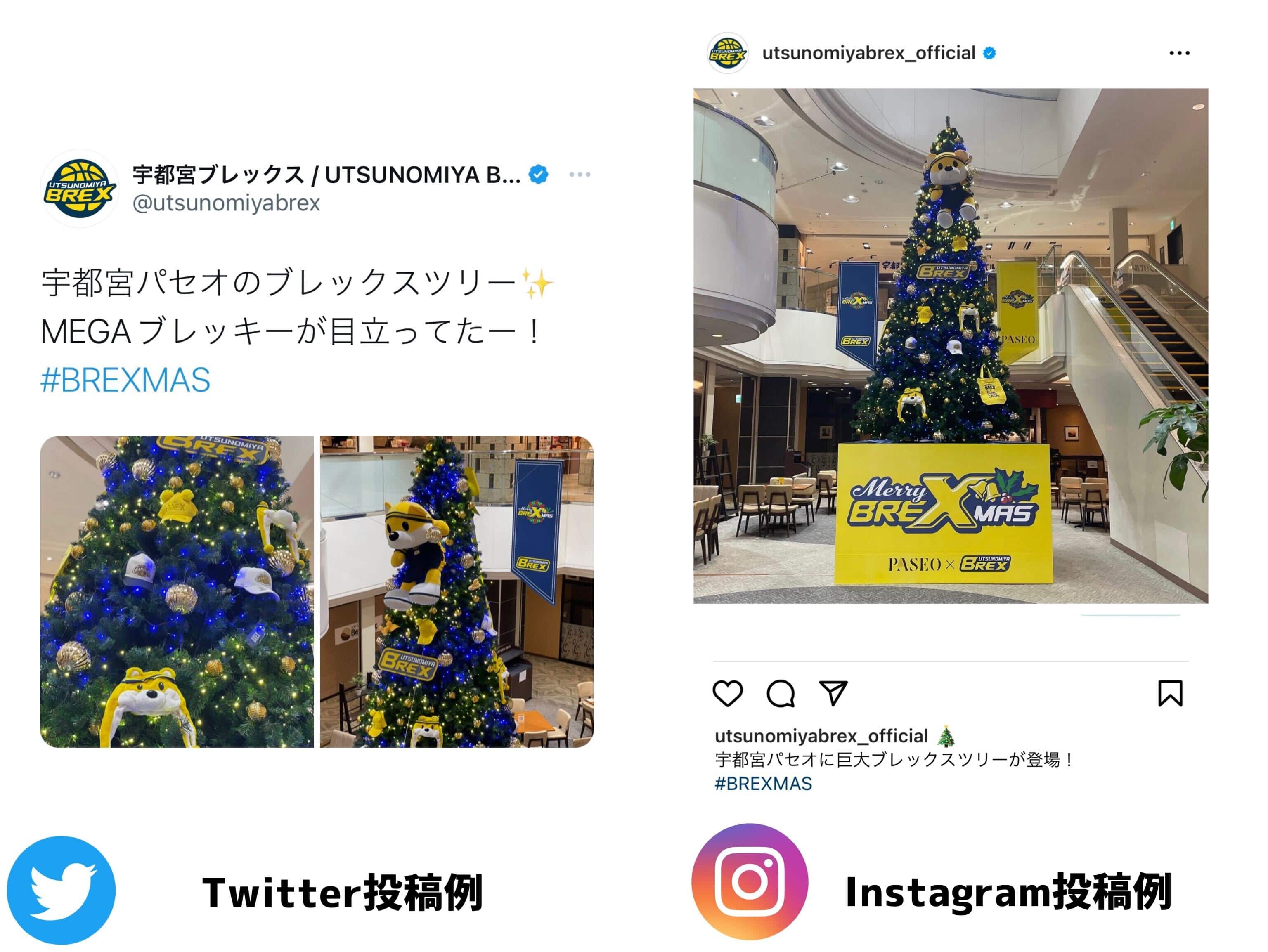 SNS投稿キャンペーン