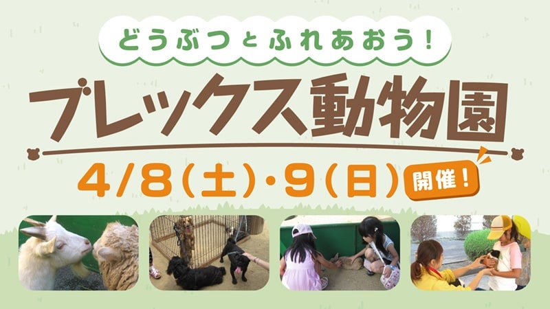 ブレックス動物園