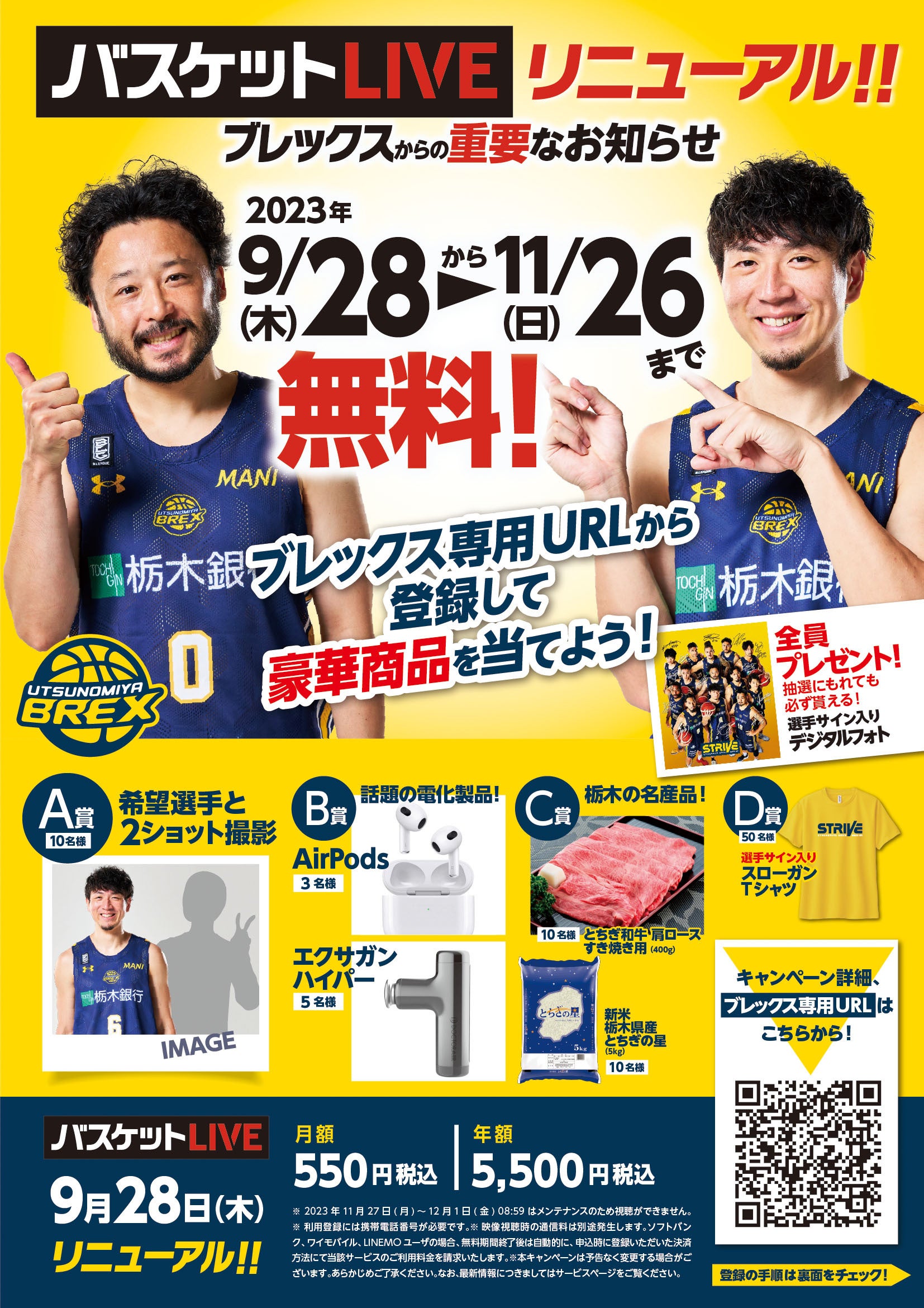 チラシ画像