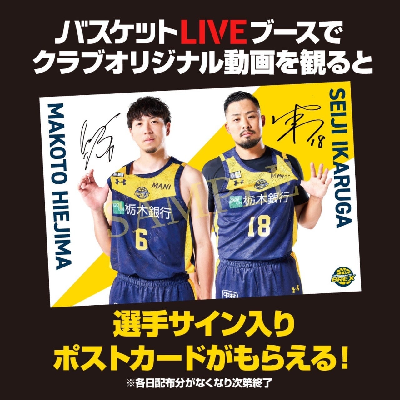 バスケットLIVE