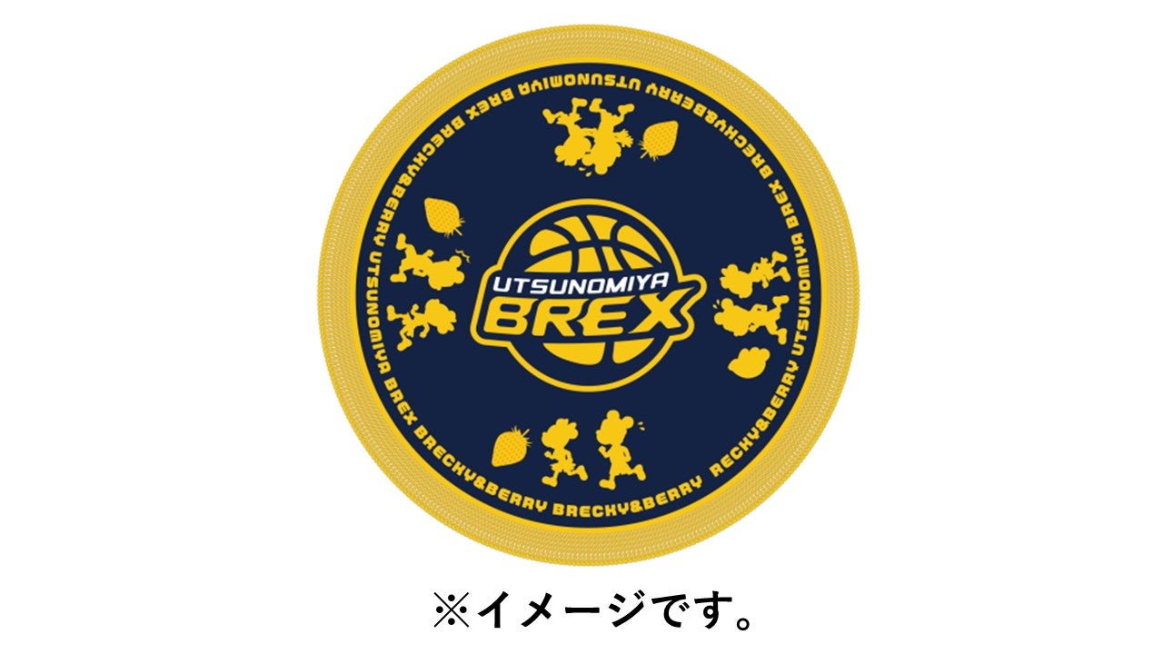 オリジナルマルチレジャーブランケット
