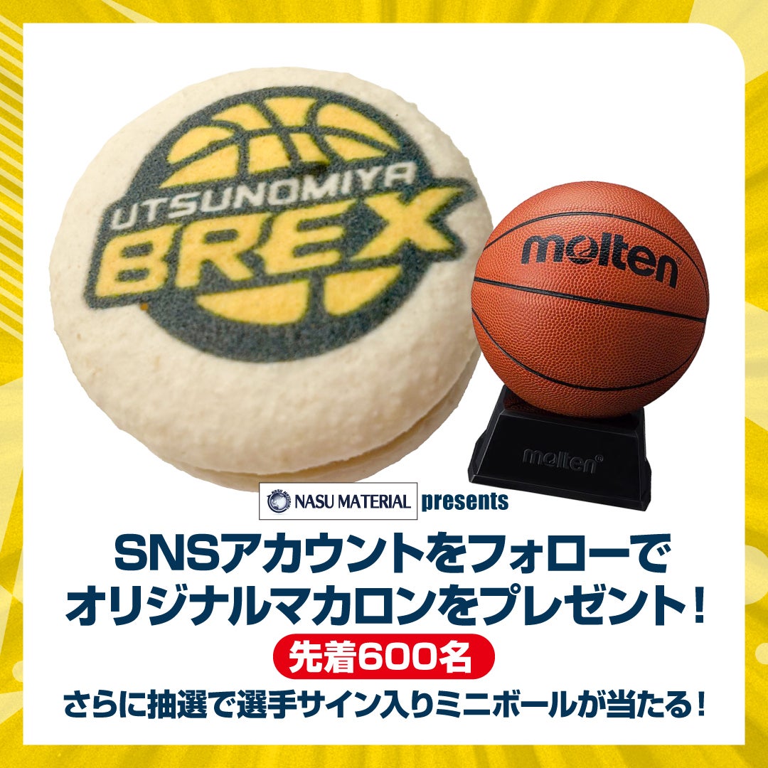 那須マテリアル