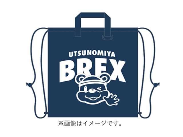 リップストップリュックサック