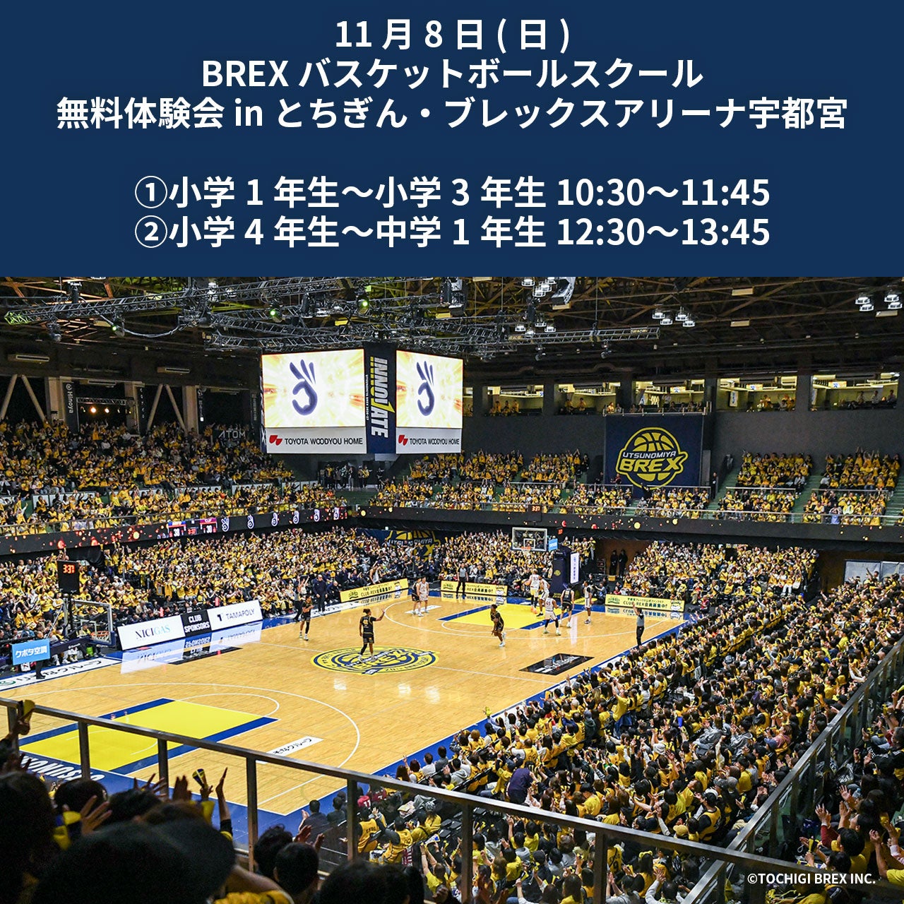 【バスケットボールスクール】11/8(日) 無料体験会 in とちぎん・ブレックスアリーナ宇都宮